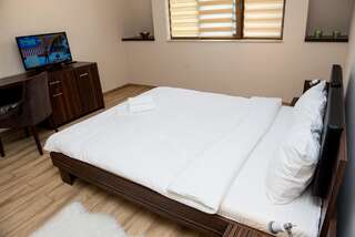 Гостевой дом Luxe Stay Тыргу-Муреш Улучшенный двухместный номер с 1 кроватью-4
